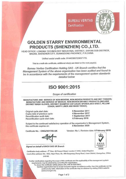Porcelana Golden Starry Environmental Products (Shenzhen) Co., Ltd. Certificaciones